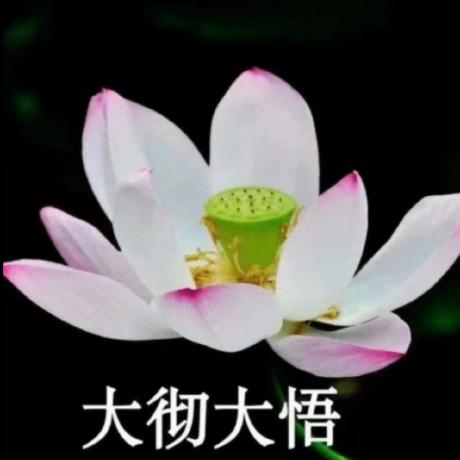 @fan1cheng2lin3