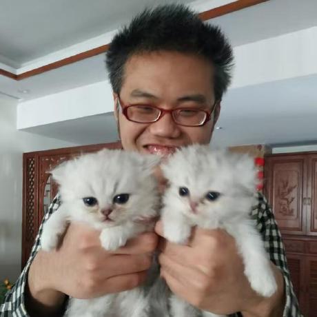 @yzytom