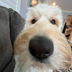 Ben