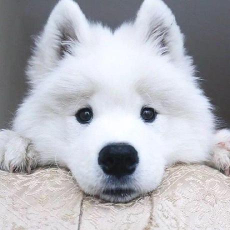 @179660663