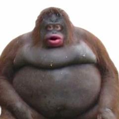 @danil2205