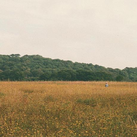 @red-meadow