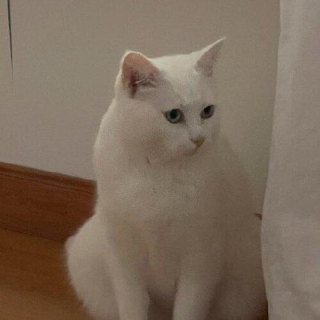 @Sefohui