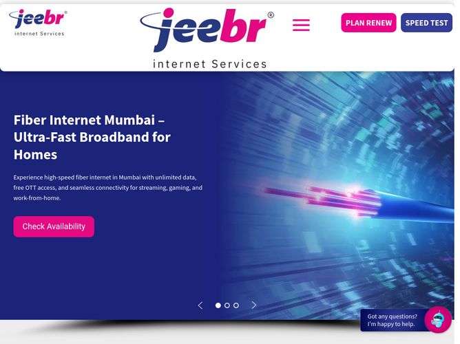 The website screenshot for http://www.jeebr.net