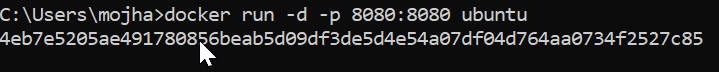port 8080 on the host is mapped to container