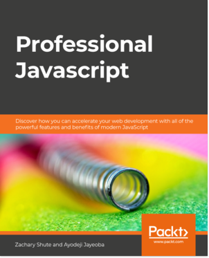 Professional Javascript Book Cover