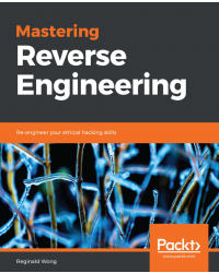 mastering reverse engineering