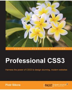 Professional CSS3