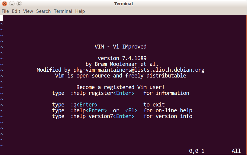 VIM text editor