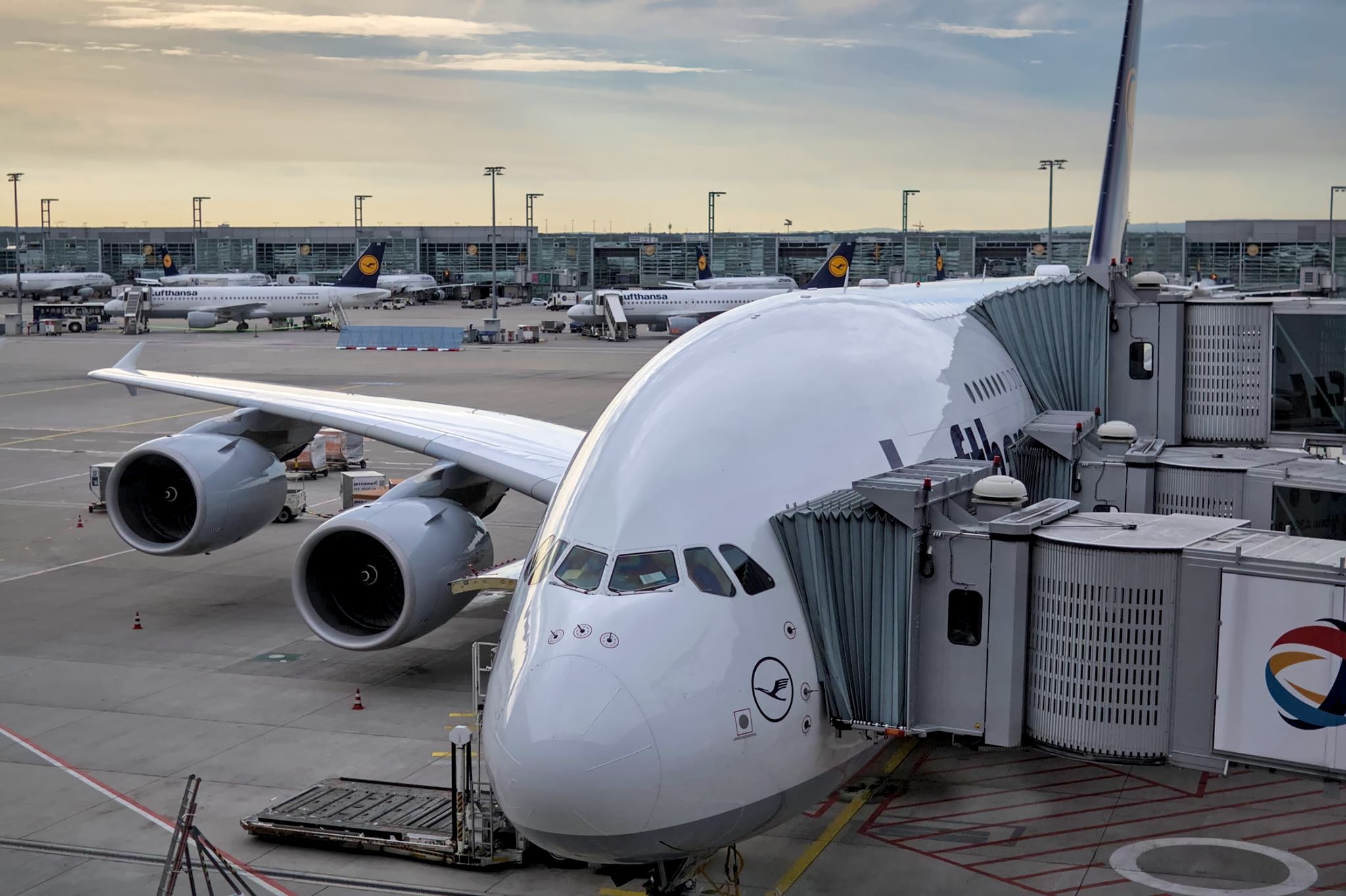 Passenger Boarding Bridges Hooked Up to an Airbus A380 at Frankfurt Airport