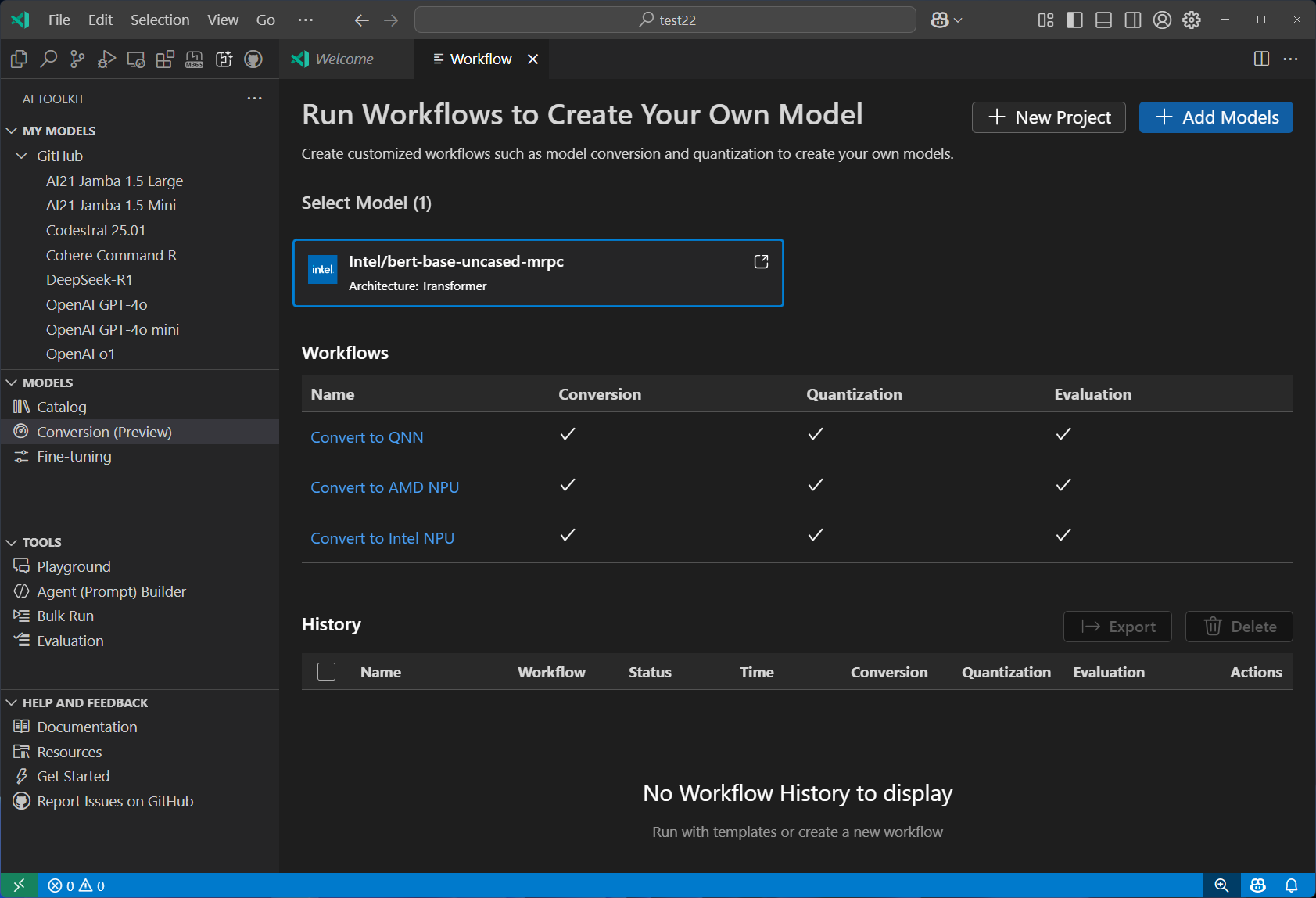 Screenshot showing the Model Conversion interface with tools for optimizing and transforming AI models